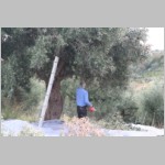 230 ... mit scharfem Werkzeug...JPG 230 ... mit scharfem Werkzeug...JPG